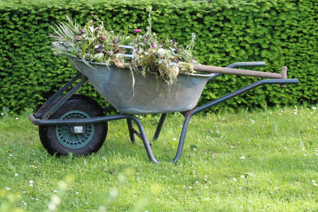 yard-clean-up-services