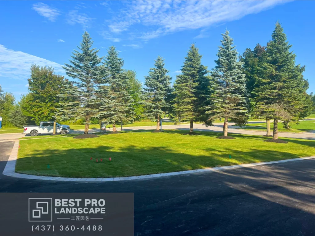 LAwn-maintanance-pickering-ajax