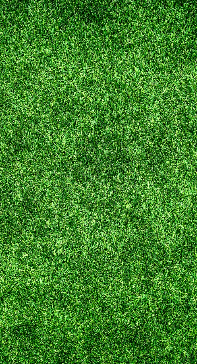 Why Is My Lawn Turning Brown Even When I Water It? grass, lawn, garden, park, nature, ground, green, surface, texture, background, beautiful wallpaper, iphone wallpaper
