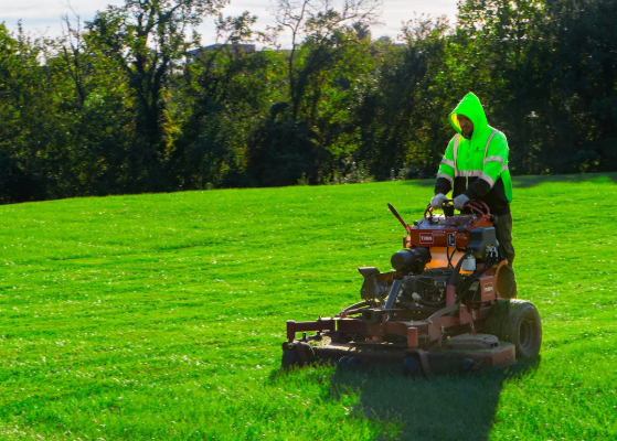 lawn maintanance