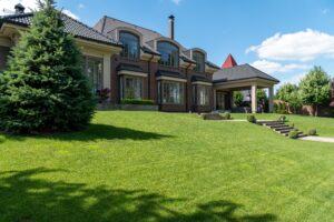Lawn maintenance service