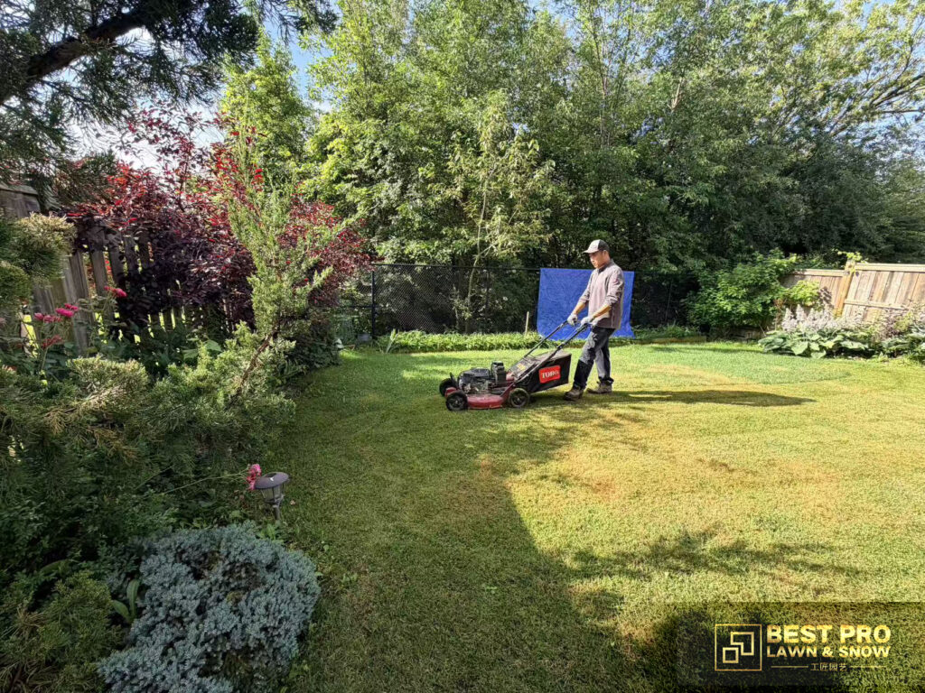 lawn maintenance services copy
