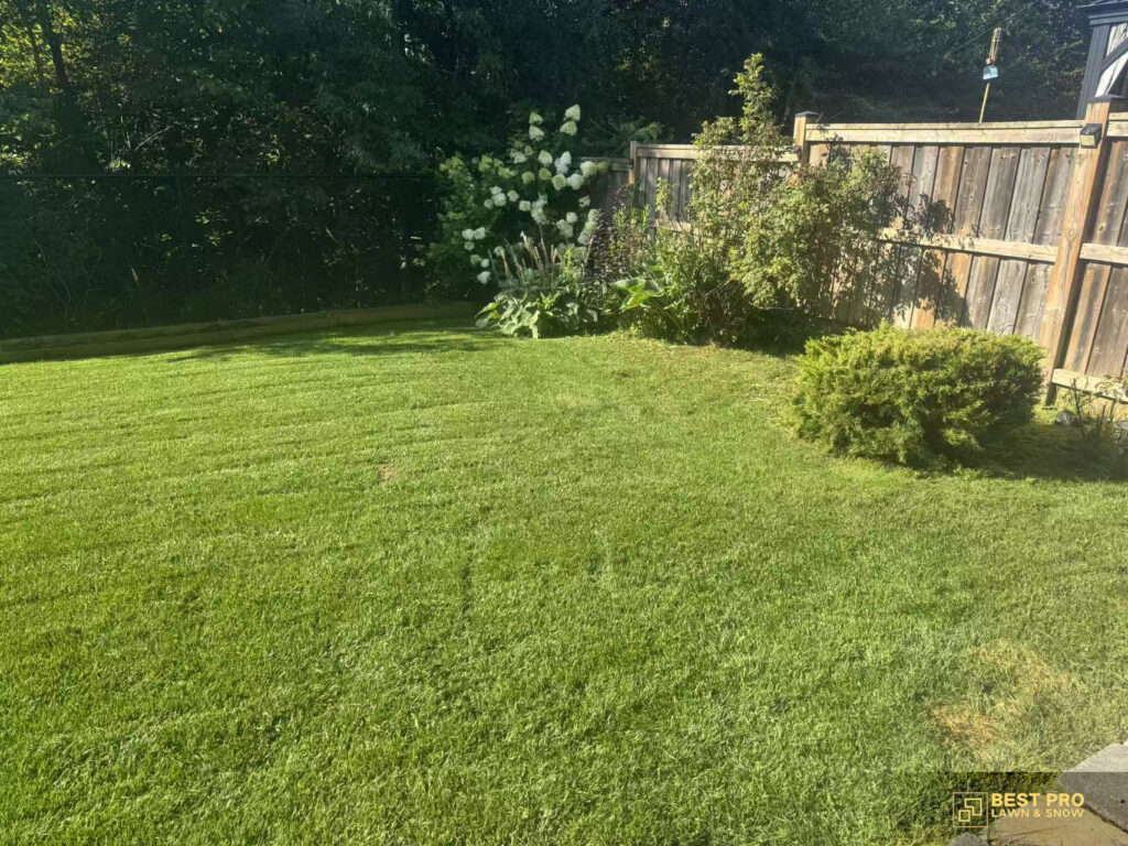 lawn maintanance scarborough