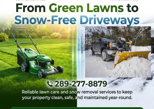 best pro lawn and snow